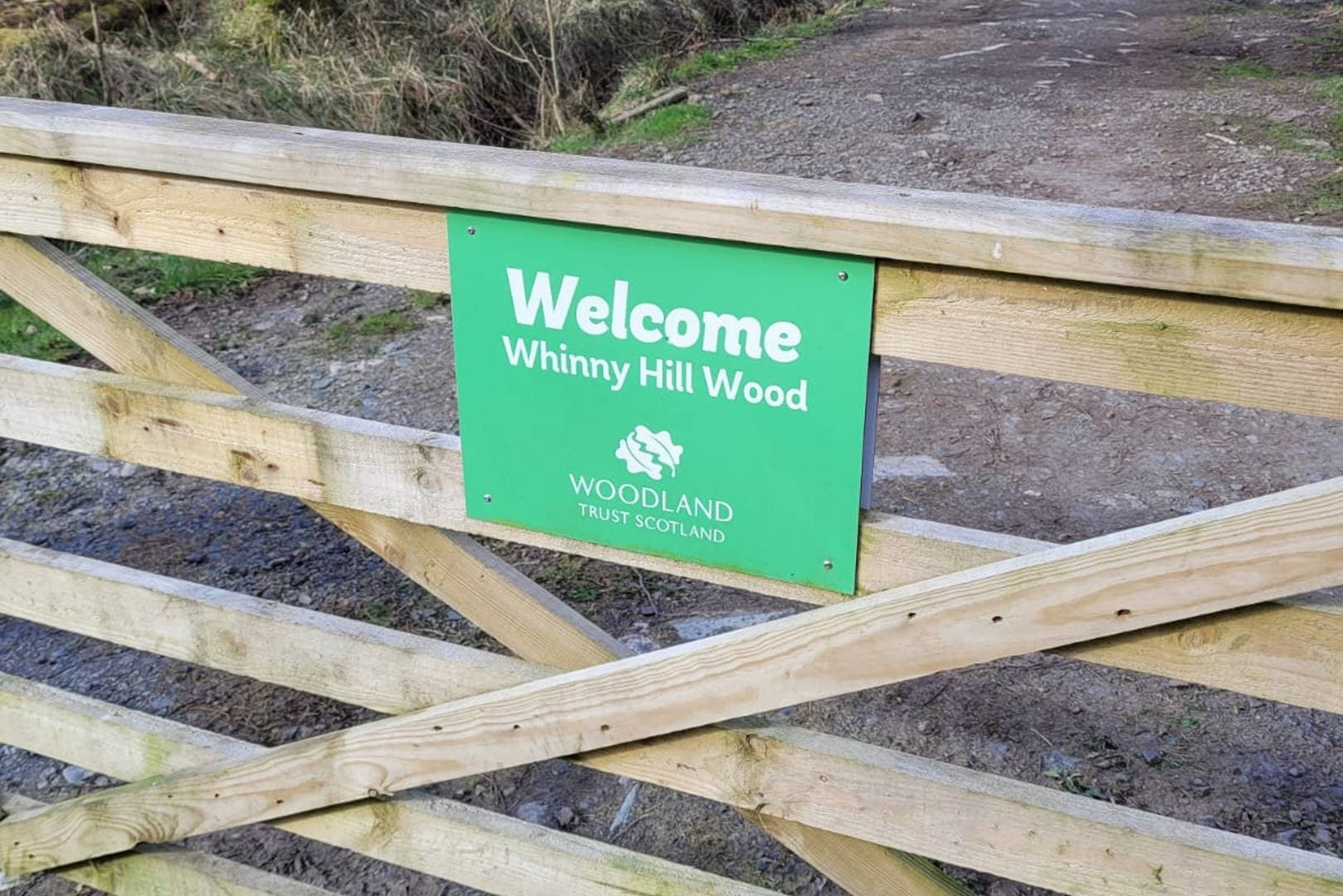 The gate into Whinny Hill Wood, a Woodland Trust Scotland site