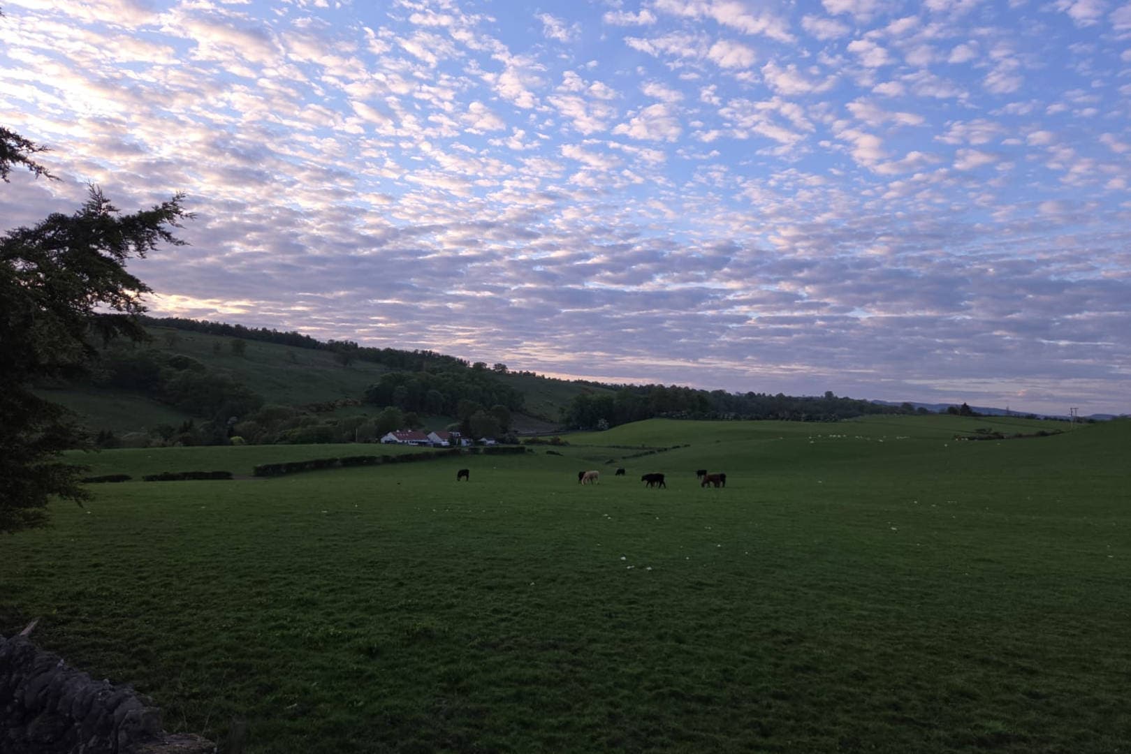 Farmland surrounding the pods at Ballagan Farm